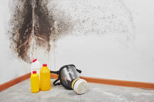 Best Crawl Space Mold Removal  in Sparta, IL