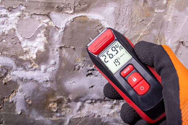 Crawl Space Mold Removal in Sparta, IL