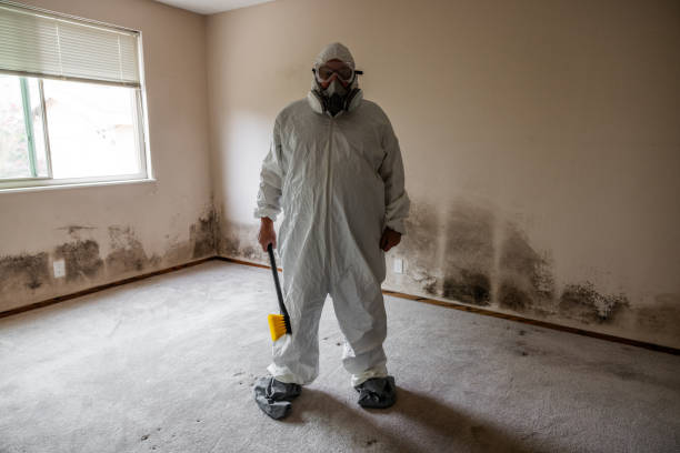 Trusted Sparta, IL Mold Removal Experts
